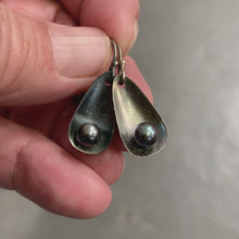 Load and play video in Gallery viewer, Black Pearl in Shell Earrings
